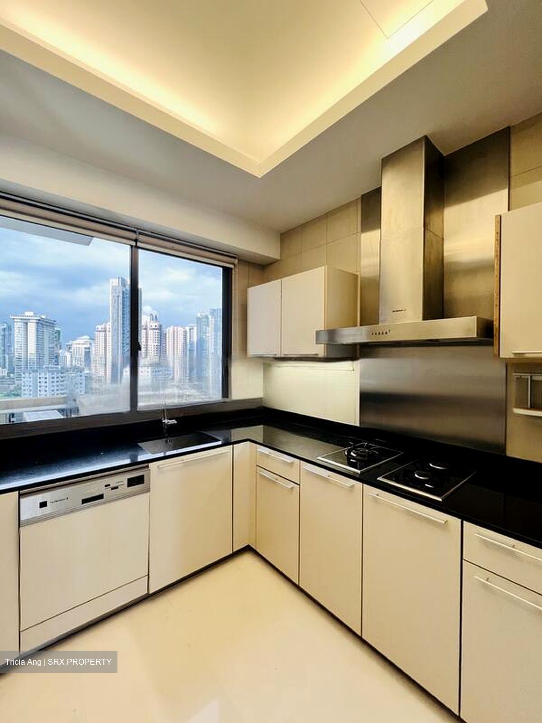 Parkview Eclat (D10), Condominium #476495331